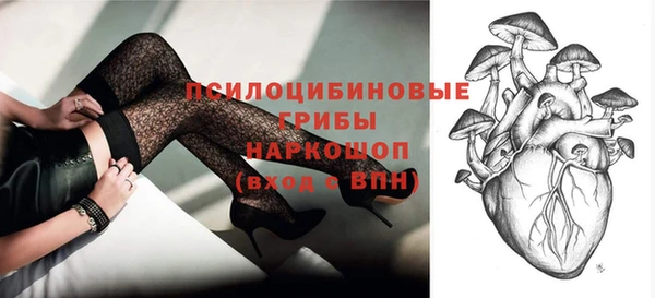гидра Инсар