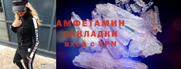 гидра Инсар