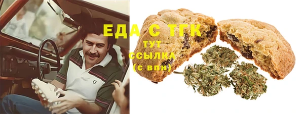 гидра Инсар